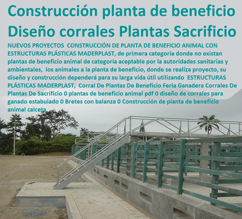 Corral De Plantas De Beneficio Feria Ganadera Corrales, Establos De Ganado, Mangas De Coleo, Corral Caballerizas, Pesebreras De Caballos, Plaza Toros, Brete Ganadero, Apretaderos Embarcaderos, Postes Tablas, Polines Varetas, Horcones Madera Plástica, Corrales De Plantas De Sacrificio 0 plantas de beneficio animal pdf 0 diseño de corrales para ganado estabulado 0 Bretes con balanza 0 Construcción de planta de beneficio animal calceta Corral De Plantas De Beneficio Feria Ganadera Corrales De Plantas De Sacrificio 0 plantas de beneficio animal pdf 0 diseño de corrales para ganado estabulado 0 Bretes con balanza 0 Construcción de planta de beneficio animal calceta